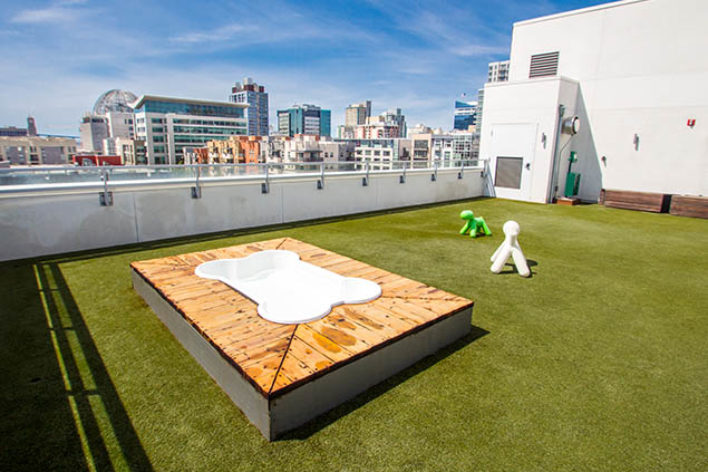 SYNLawn Edmonton artificial grass for Roof top applications