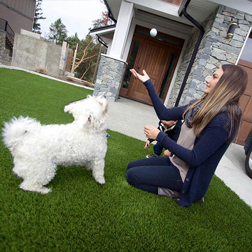 image of Pet friendly artificial grass for your furry friends available at SYNLawn Edmonton